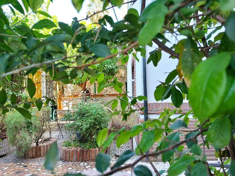 Villa Casa Limonero Con Parking Gratis Junto A Centro Historico Granada Exterior foto