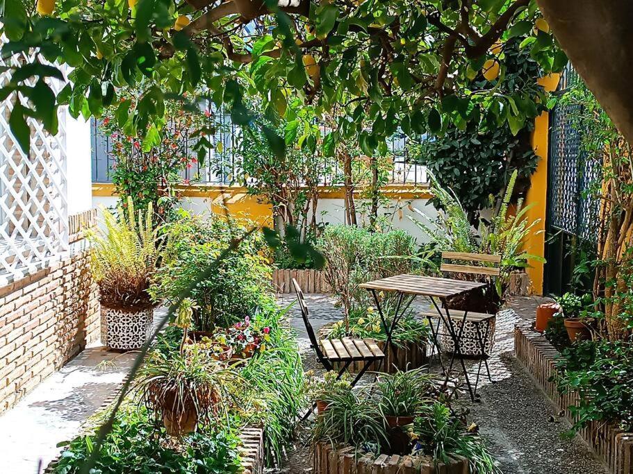 Villa Casa Limonero Con Parking Gratis Junto A Centro Historico Granada Exterior foto