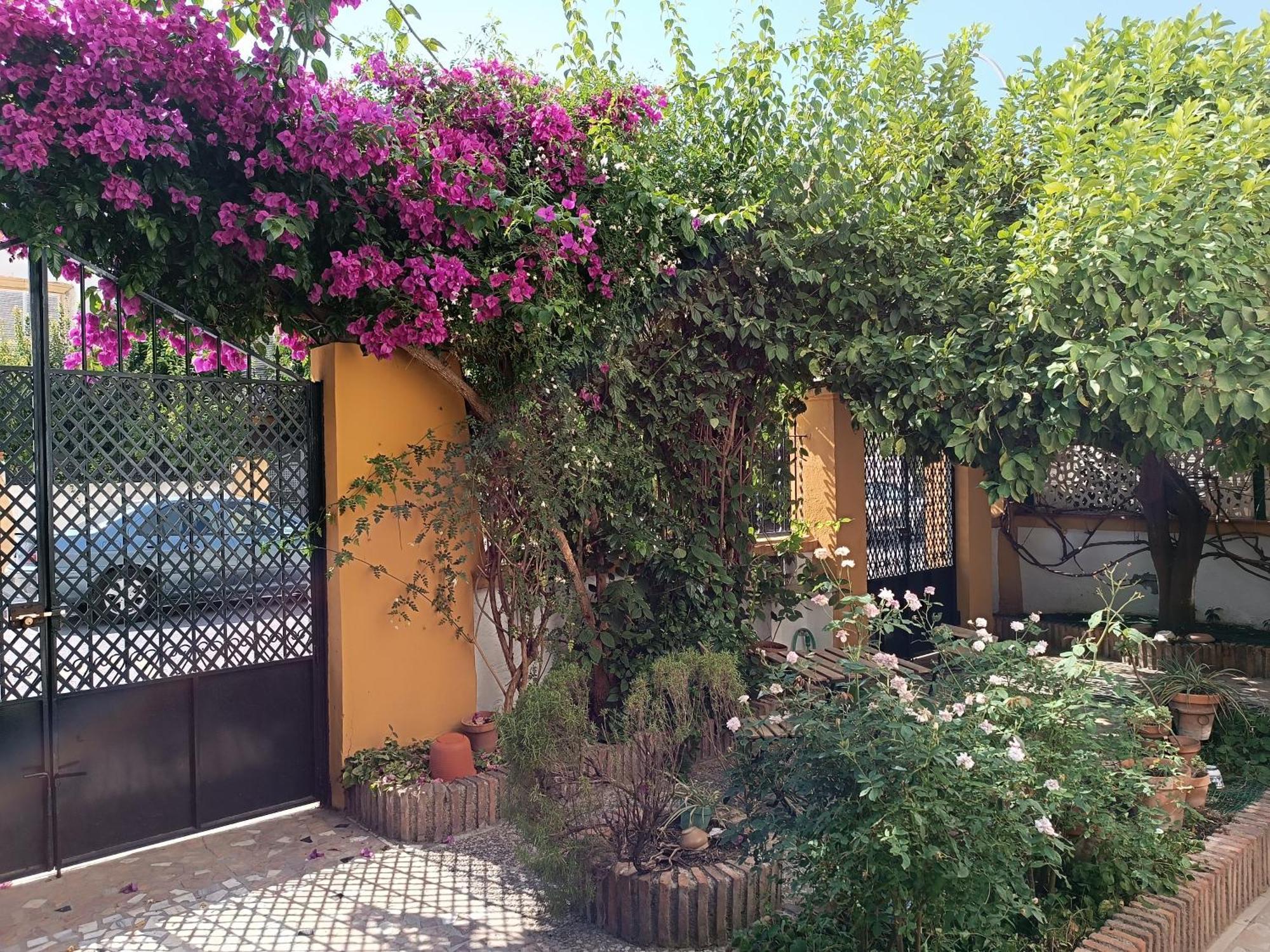 Villa Casa Limonero Con Parking Gratis Junto A Centro Historico Granada Exterior foto